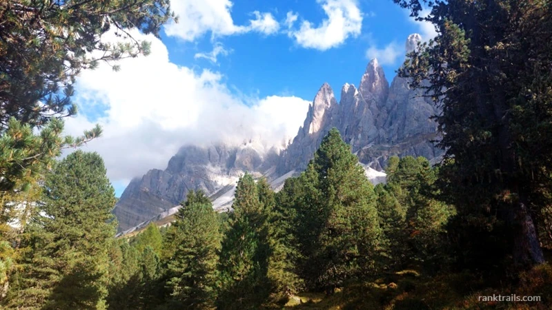 View of the Dolomite peaks near Forcella di Mesdì surrounded by pine trees and clouds as seen through the eyes of a travel photographer.